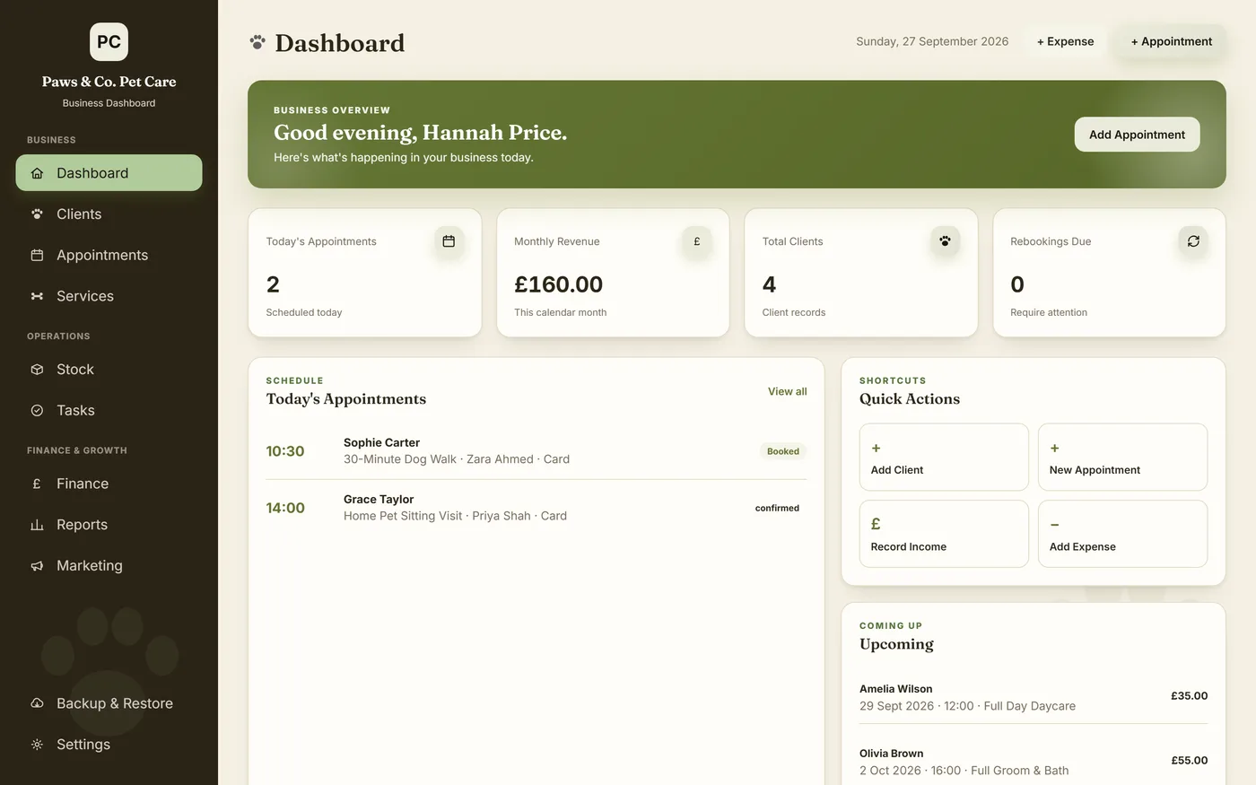 Pet Care Business Dashboard: dashboard with example data
